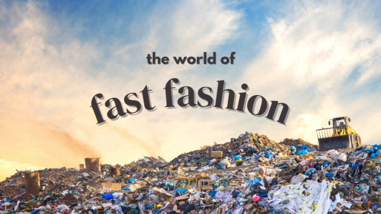 World Earth Day: The Environmental Impact of Fast Fashion