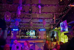 Blue Bird Karaoke Сlub, Hungary